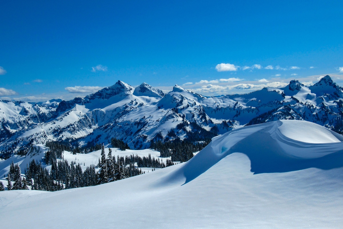 mount rainier national park