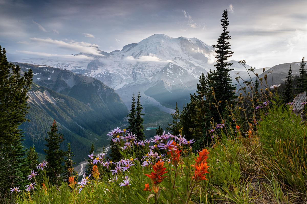 mount rainier national park