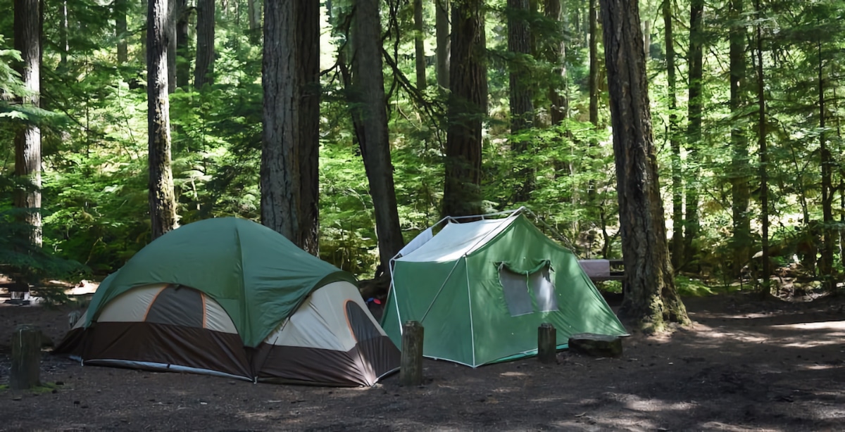 mount rainier national park