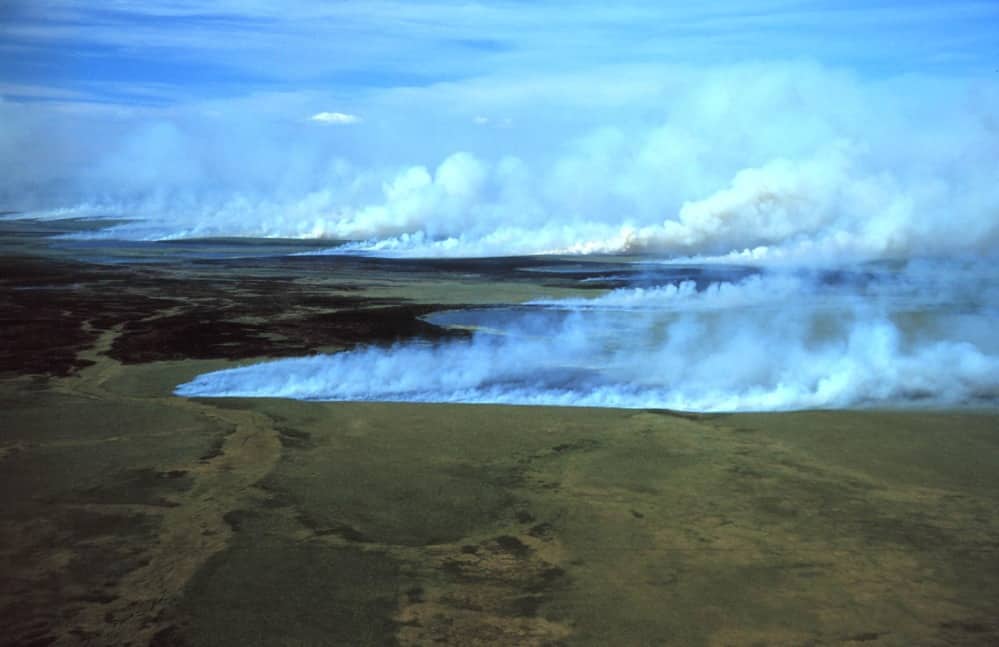 Peat Bogs at Kobuk Valley National Park