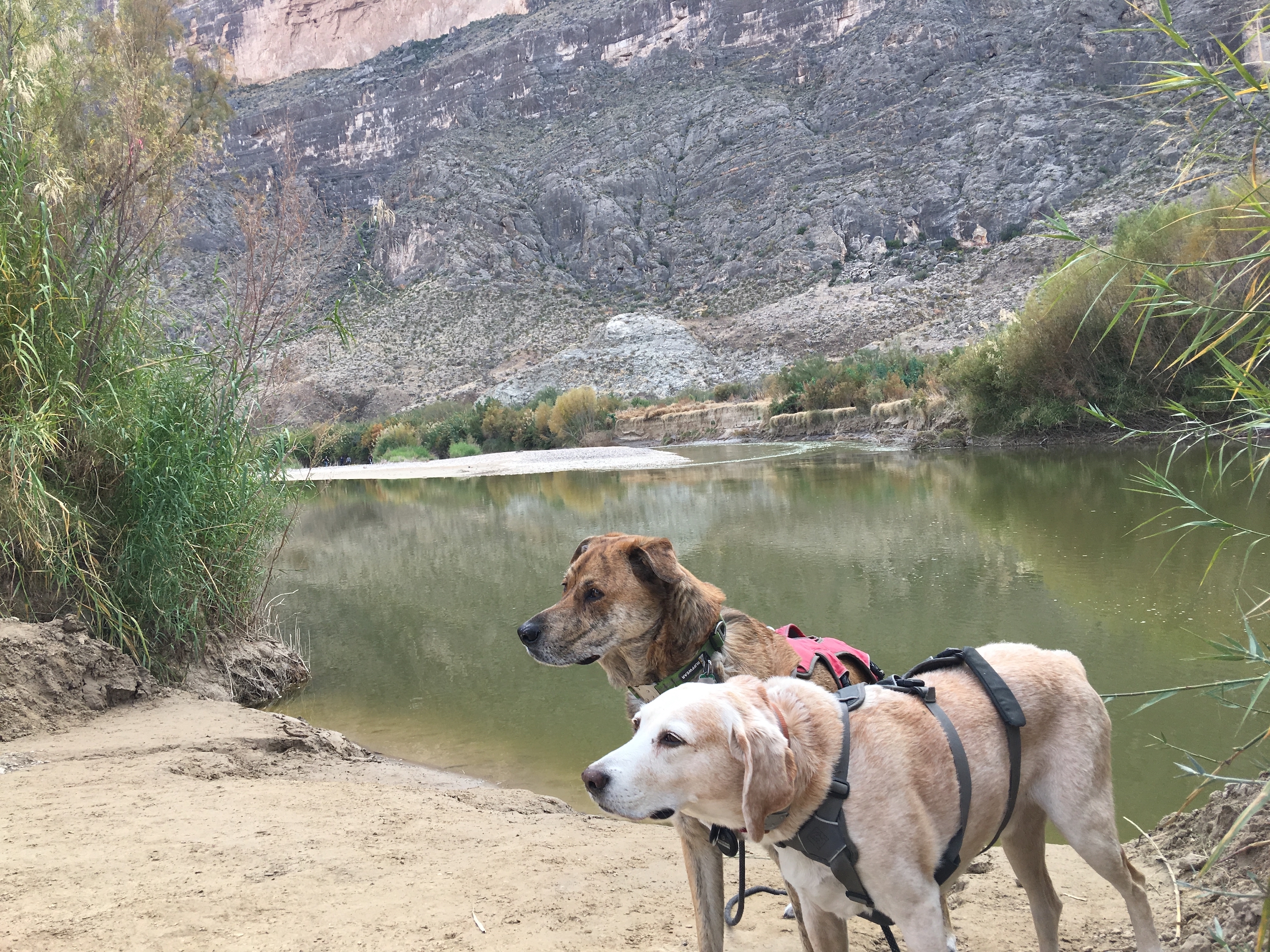 Big Bend National Park 