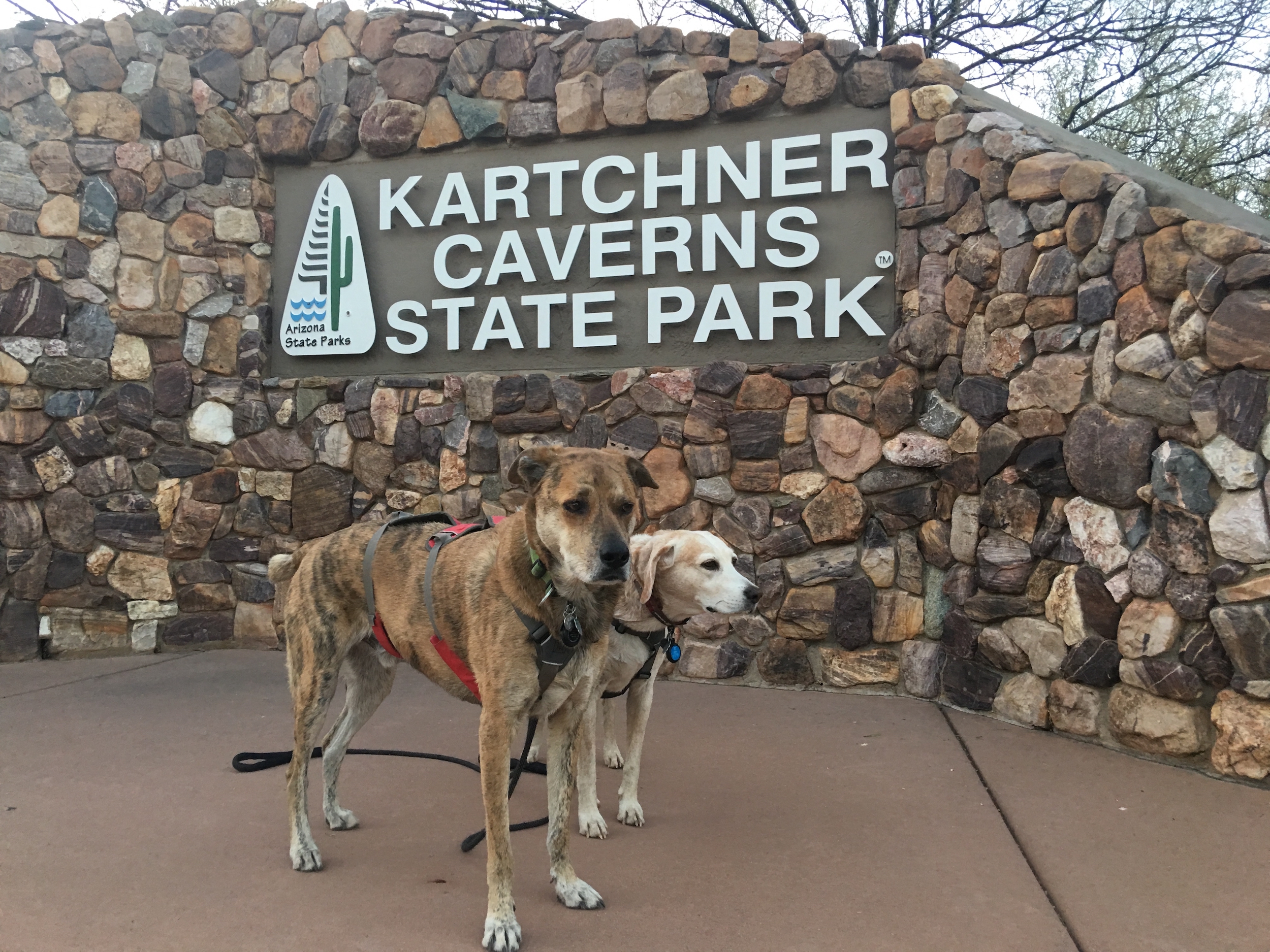 Kartchner Caverns State Park with dogs