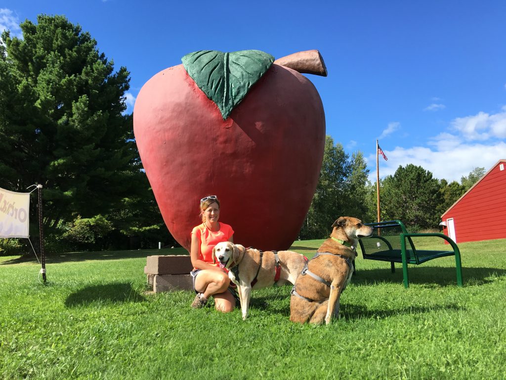 2 Traveling Dogs in Wisconsin