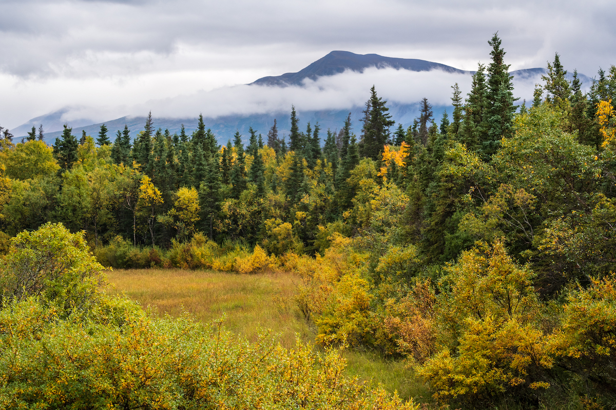 Katmai National Park