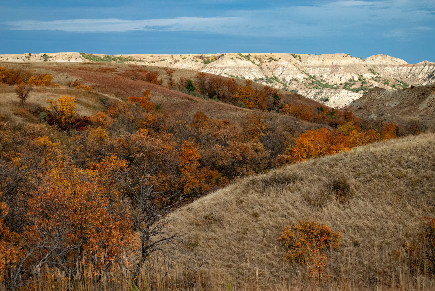 fall-guide-to-rving-theodore-roosevelt-national-park-12-2022 