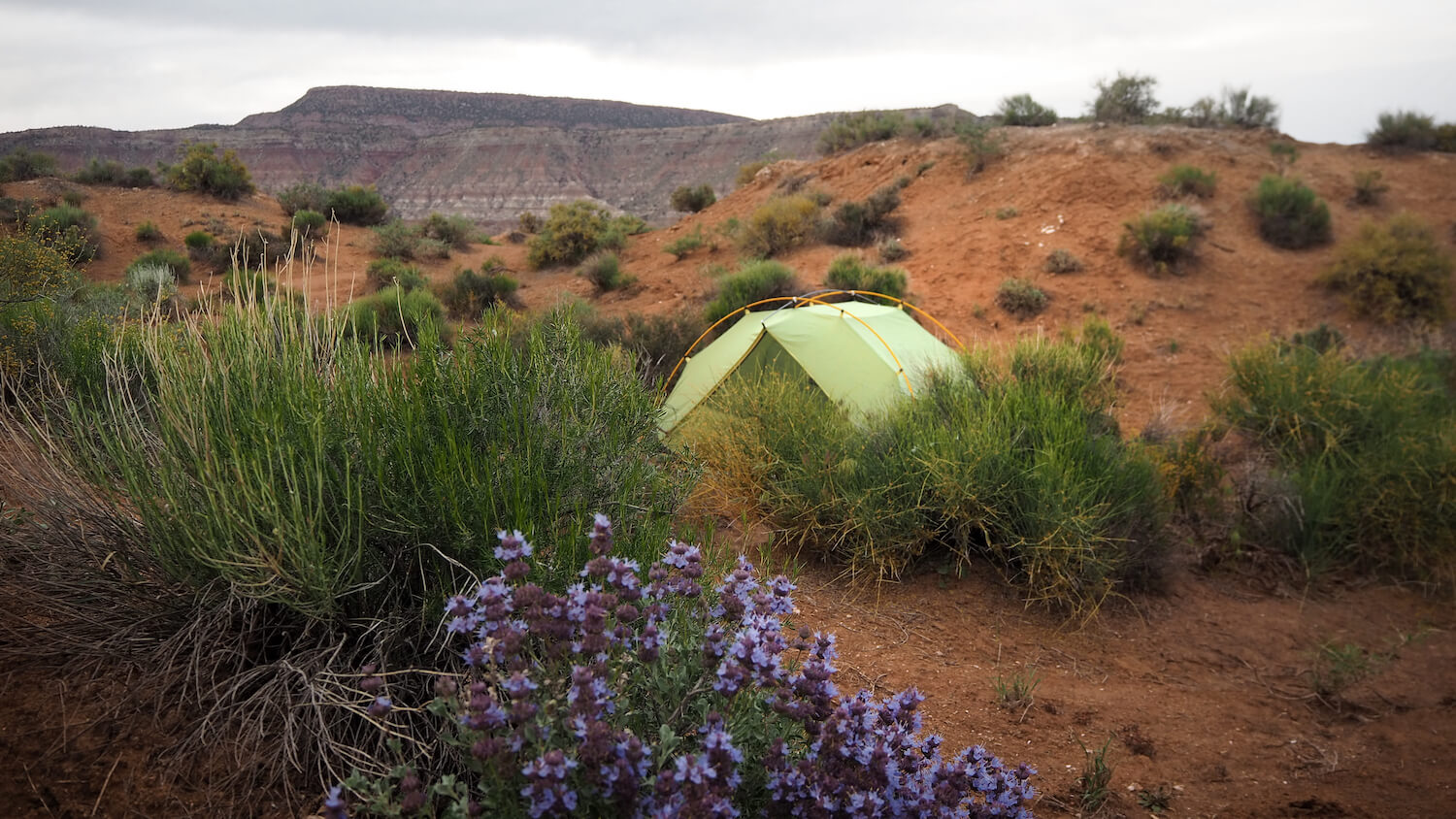 backpacking-guide-to-rving-zion-national-park-01-2023 